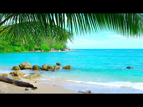 Download MP3 🌴 Tropical Beach Ambience on a Island in Thailand with Ocean Sounds For Relaxation & Holiday Feeling