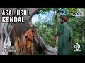 Lagu Asal Usul Kota Kendal | Cerita Rakyat Jawa Tengah | Kisah Nusantara