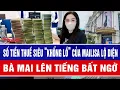 Lagu Số tiền thuế siêu “khổng lồ” của Mailisa lộ diện, bà Mai lên tiếng bất ngờ