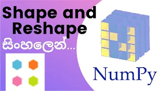 Python Numpy Tutorial - 08 Shape and Reshape Sinhala