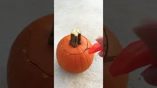 Carving a mini pumpkin