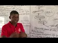Computer Studies SS2