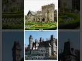 Choose your favorite school Auradon Prep OR Nevermore Academy