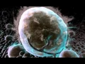 Download Lagu [Discovery Channel] Body Story | Episode 4 | Teen Dreams