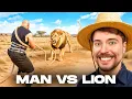 Download Lagu MENEER HET BEEST DAGDE MIJ UIT TOT EEN TOUWTREKKING MET EEN LEEUW! | ACHTER DE SCHERMEN