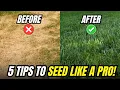 The BIGGEST Overseeding Mistake You re Probably Making