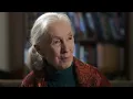 Great Moments in Evolution: From Single Cells to Complex Life | Full Documentary