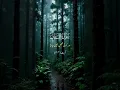 Download Lagu SURAH AL LUkMAN full by Mishary Alafasy [HD] - QURAN