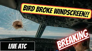 ATC BIRD Strike at 8 000ft American Airlines 509