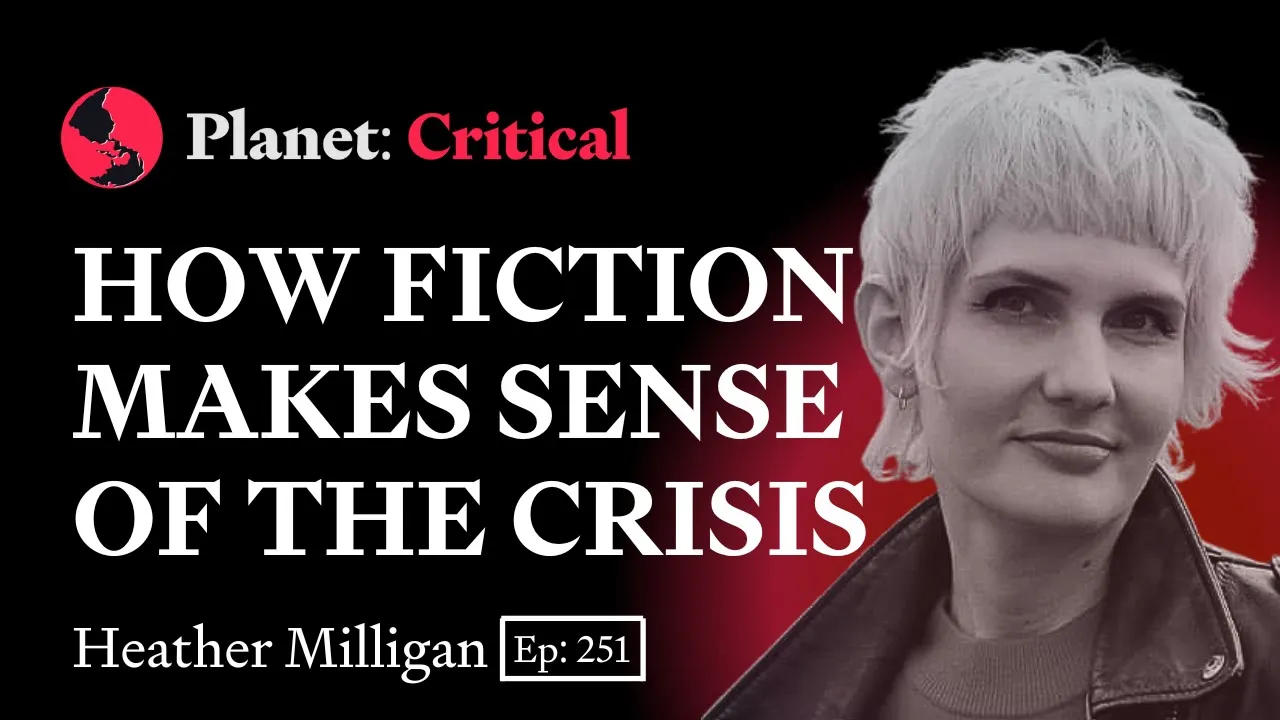 How Fiction Makes Sense of the Crisis | Heather Milligan