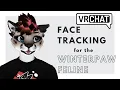 Winterpaw Feline - VRChat Face Tracking Tutorial PC and Quest