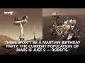 Happy Lonely Birt ay Curiosity