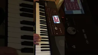 أغاني عراقيه مقاطع على إيقاع الخشابه الجنوبي والهجع عزف ترجمه باسل الشيخلي 