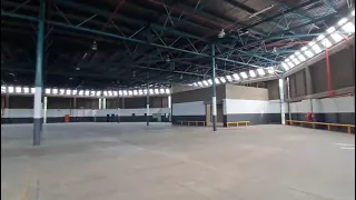                     دندنها