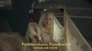  pathinezhinte poonkaralil slowed u0026 reverb 