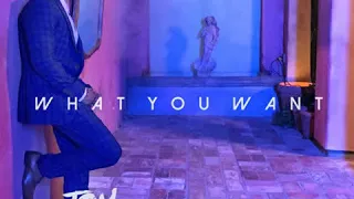 jay sean ft davido what you want tom clarke remix 