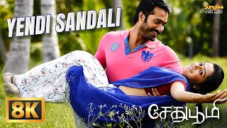 Yendi Sandali - 8K Video Song | Sethuboomi | Taman Kumar | Samskruthy | V.T.Bharathi | V.T.Monish