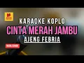 Download Lagu AJENG FEBRIA - CINTA MERAH JAMBU (Cinta Lahir Batin) I Karaoke Koplo Nada Wanita