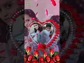 Shazada