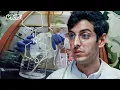 The Accidental Discovery of Phencyclidine PCP VICE Blueprint