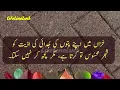 Download Lagu Na mehram kabhi bhi aapka mahafiz nahi ho sakta - Wqti taluq - Time pass shayari status 