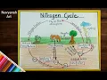 Nitrogen cycle diagram to draw Nitrogen cycle labeled diagram step by step