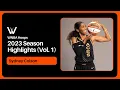 Sydney Colson Highlight Mix Vol 1 2023 Season WNBA Hoops