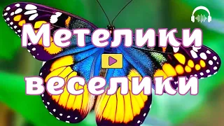 Метелики Веселики Весела пісня для занять та свят Ресурс для педагогів 