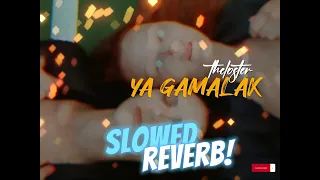 LOFI CAMEN SOLIMAN YA GAMALAK SLOWED REVERB Lofi Slowed Slowedandreverb Lofimusic 