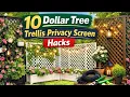 10 Dollar Tree Trellis Hacks to Build a Stunning Backyard Privacy Fence