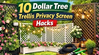 10 Dollar Tree Trellis Hacks to Build a Stunning Backyard Privacy Fence