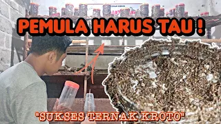 Download Cara Memperbanyak Koloni Semut Rangrang | How To Multiply Weaver Ant Colony MP3