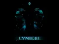 Cynical (Nicolas Binder Remix)