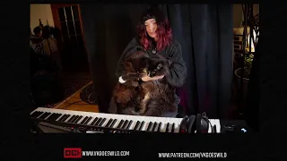 live stream TEST