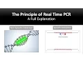 The principle of Real Time PCR Reverse Transcription quantitative rt-PCR