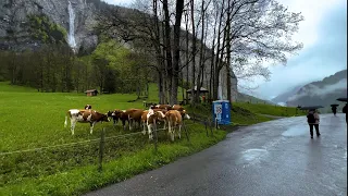 Lauterbrunnen 4K Rainy Switzerland 