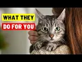 9 Things Your Cat Does for You Without You Knowing