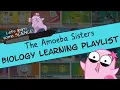 Amoeba Sisters Biology Learning Playlist Introduction