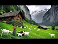 Lagu Peaceful Life in Switzerland Countryside: Relaxing Walk in Heavenly Beautiful Switzerland Villages