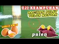 Download Lagu EXPERIMEN RESEP UMPAN DADAKAN PELET 781 !! BARU LEMPAR IKAN LANGSUNG MAKAN TERBUKTI AMPUH ❗❗