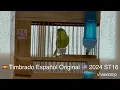 Download Lagu Timbrado Español Original ST16 2024
