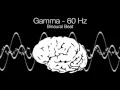 Download Lagu 'Genius' Gamma Binaural Beat - 60Hz (1h Pure)