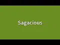 Sagacious Meaning