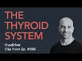 The thyroid system how it works common problems hypothyroidism T3 T4 TSH more Peter Attia