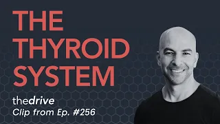 The thyroid system how it works common problems hypothyroidism T3 T4 TSH more Peter Attia