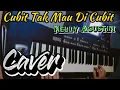 Download Lagu Karaoke Cubit Tak Mau Di Cubit NELLY AGUSTIN || No Liryc || Caver Korg Pa500