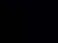 Matt Pond Pa Love To Get Used (lyrics)