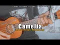 Download Lagu Sudahlah Jangan Menangis Lagi ( CAMELIA - IRWANSYAH ) Cover Ukulele By Amrii Official
