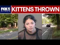 Woman arrested for throwing kittens from car FOX 5 News