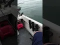 Download Lagu De visserijbescherming bracht ons een bezoek terwijl we op de boot waren. #vissen #bootvissen #vi...